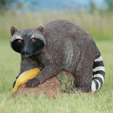 Wildcrete Raccoon